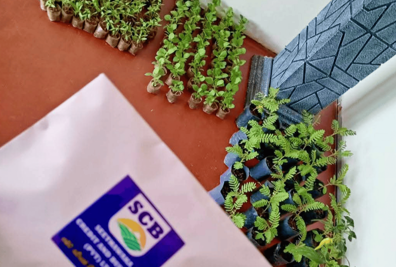 Untitled design - 2026-01-06T135555.256