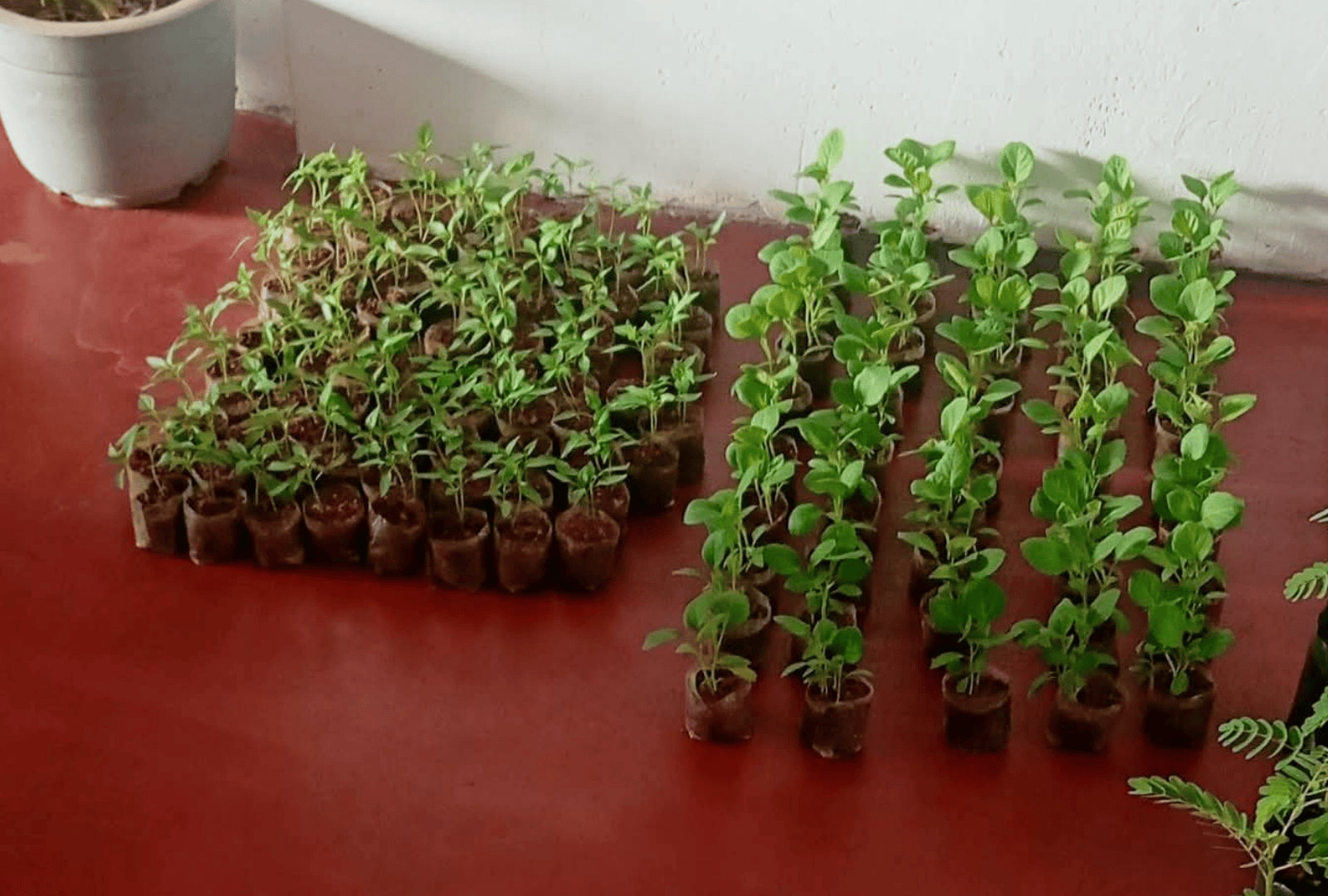 Untitled design - 2026-01-06T135650.542